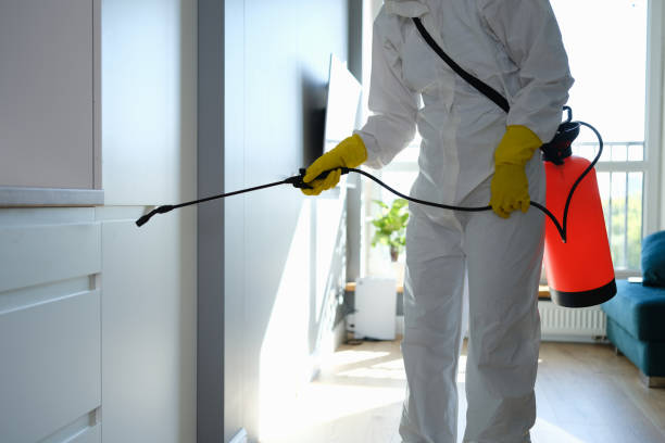 Best Commercial Mold Remediation in Hubbard, OH