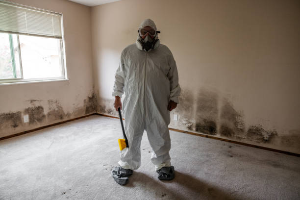 Best Bathroom Mold Remediation in Hubbard, OH